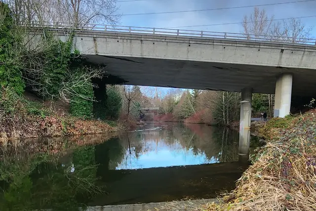 A calm river passes under a concrete road bridge, mirroring blue sky and bare trees, with golden reeds on the near bank.